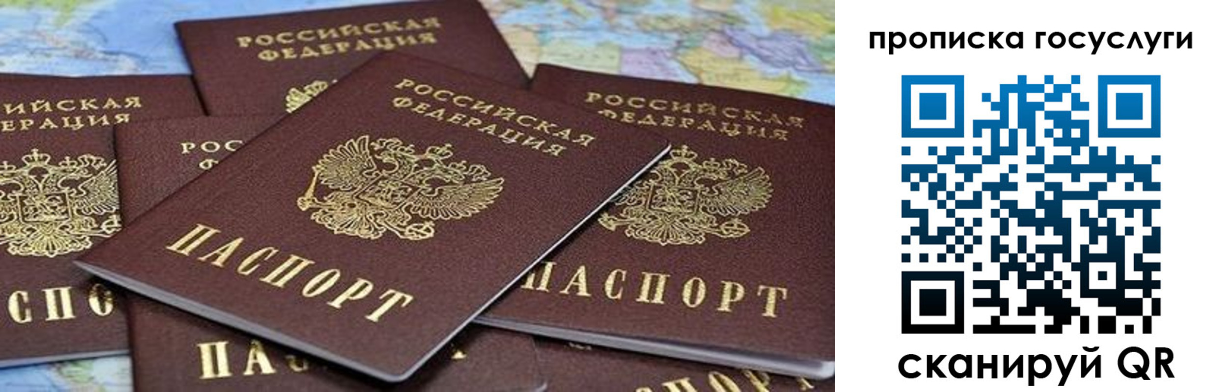 пропишу в квартире в Боровичах